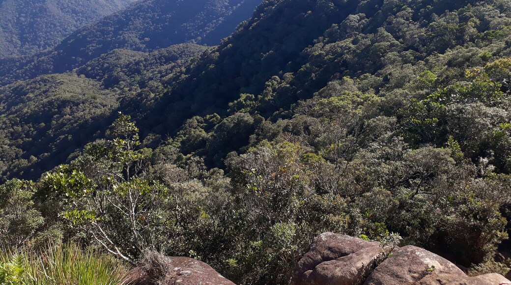 Rio de Janeiro, Brazil, September 15, 2024. View of the Tinguá biological reserve, from the Boné hill, in the mountainous region of the state of Rio de Janeiro.