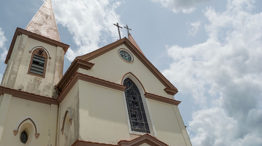 จูเซลิโน