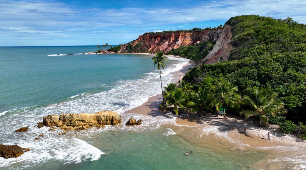 Tambauzinho