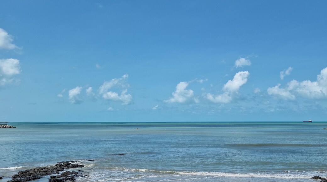 A coastal scene with clear skies, calm sea, rocky shoreline, and distant ships.