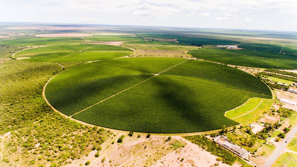 Een luchtbeeld van een uitgestrekt landbouwveld met duidelijke zaai patronen.