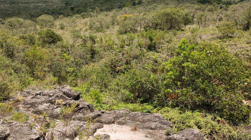 Maturino de Oliveira Bello