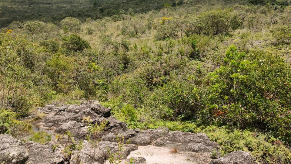 A rocky landscape with dense vegetation and a distant hill.