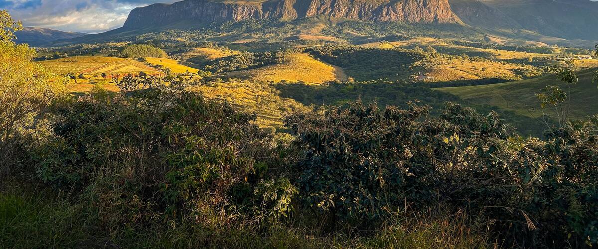 Un paisaje montañoso con un acantilado destacado en el centro, rodeado de colinas ondulantes y vegetación densa.