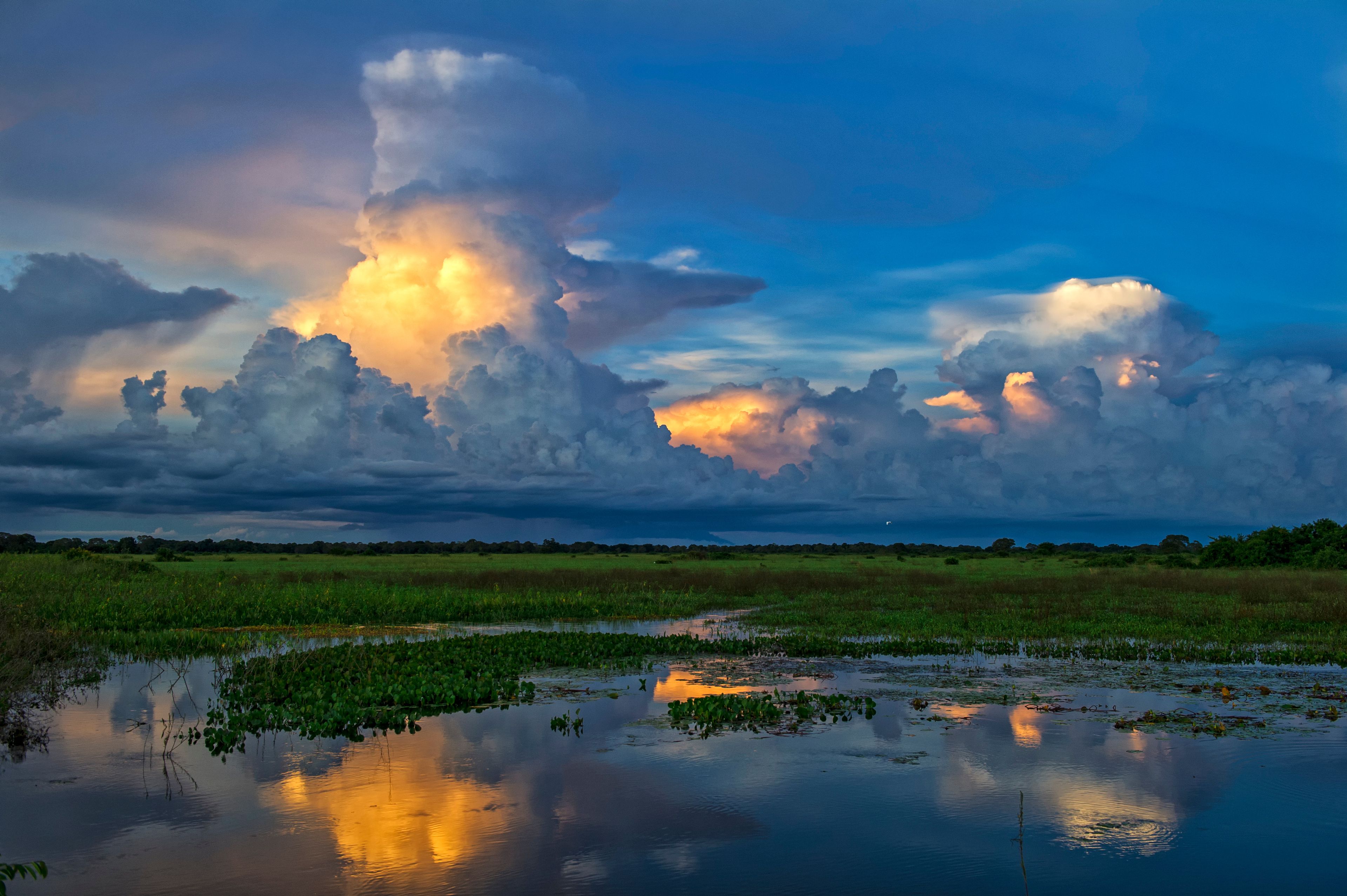 The Brazilian Pantanal