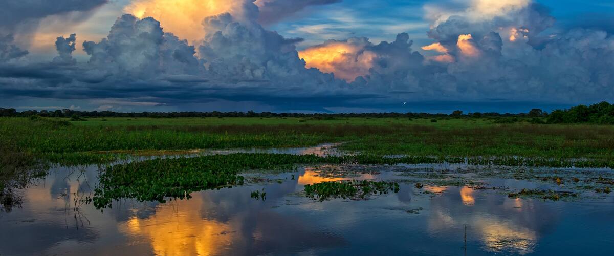 Pôr do sol sobre um pântano com vitórias-régias e céu nublado.