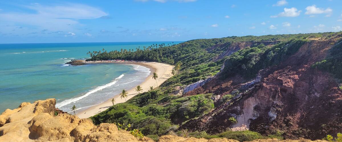 A coastal landscape with a sandy beach, palm trees, and a cliff.