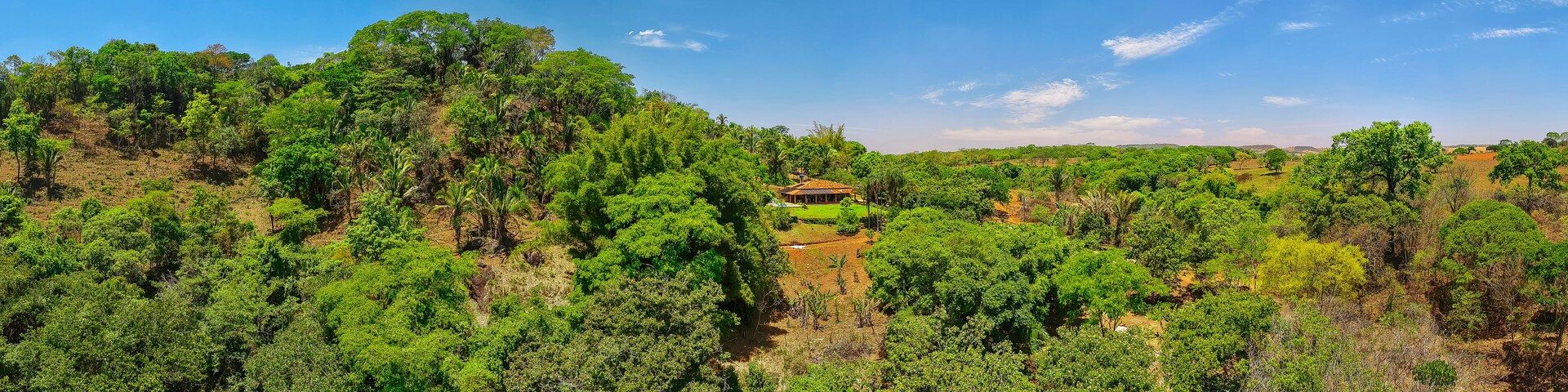 Un paisaje verde exuberante con follaje denso y una pequeña casa en una colina.