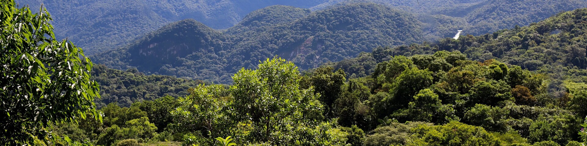 Serra do Mar do estado do Paraná, sul do Brasil, região de mata atlântica