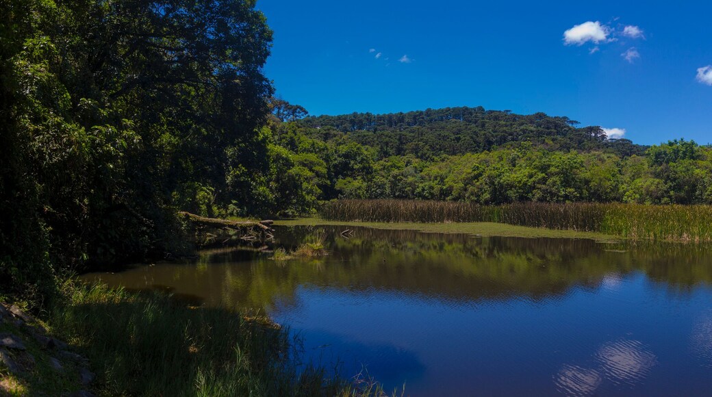 Parque Estadual da Cantareira
