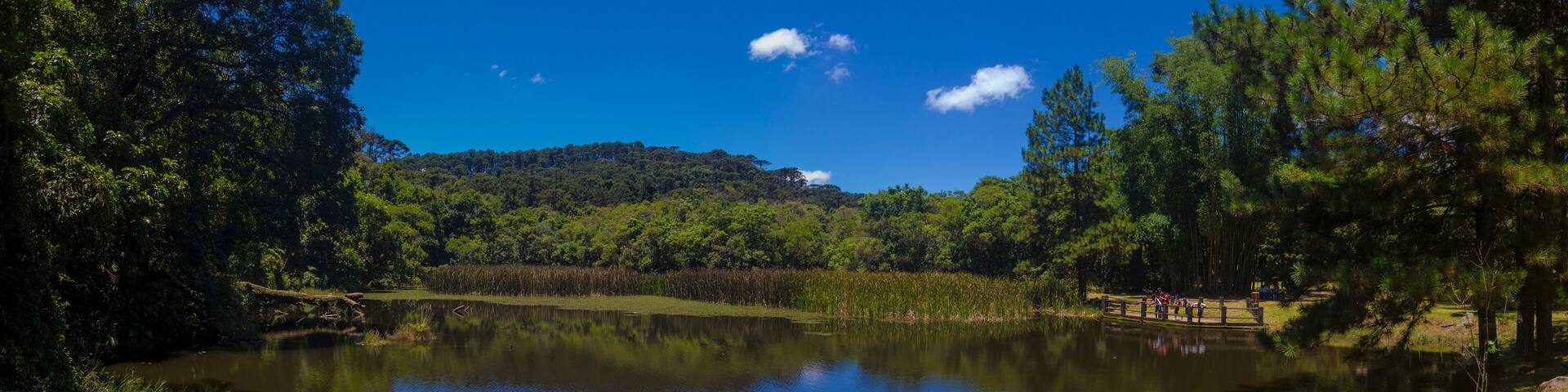 Parque Estadual da Cantareira