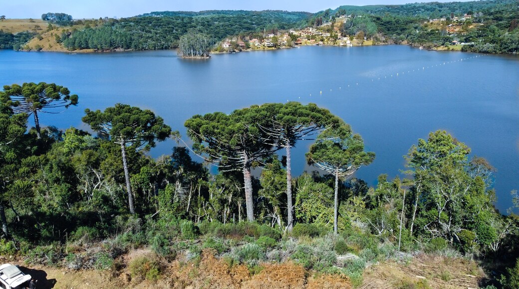 ปราดอส เวร์เดส