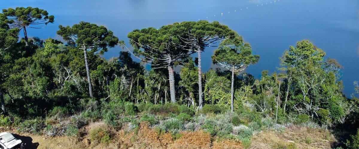 Salto dam in São Francisco de Paula, Rio Grande do Sul, Brazil