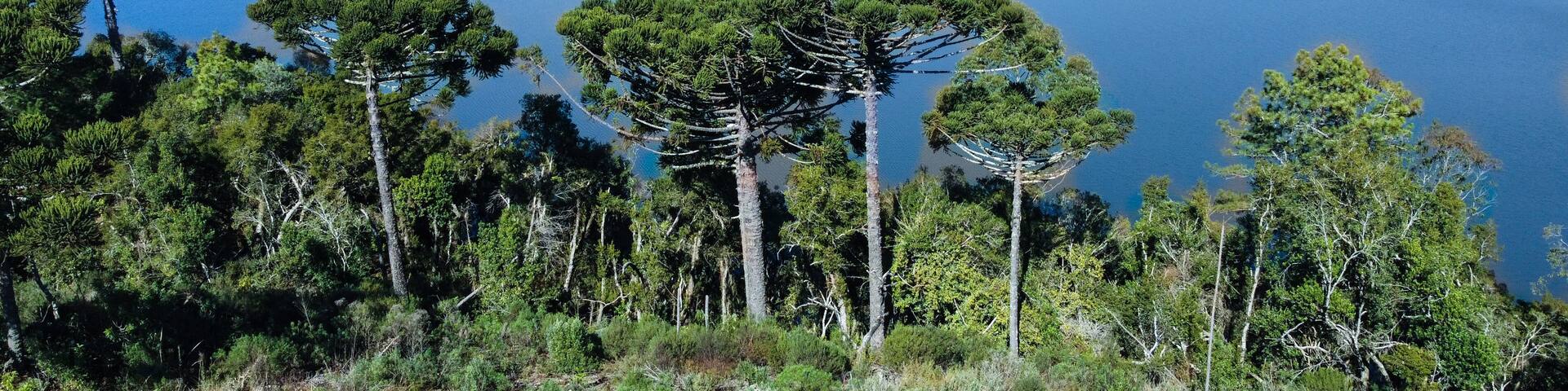 Salto dam in São Francisco de Paula, Rio Grande do Sul, Brazil