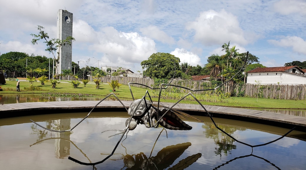 The water processing plant for the city of Belem was transformed into a beautiful spot with bike paths along the water. Beautiful vistas and... a giant mosquito. Lindo.