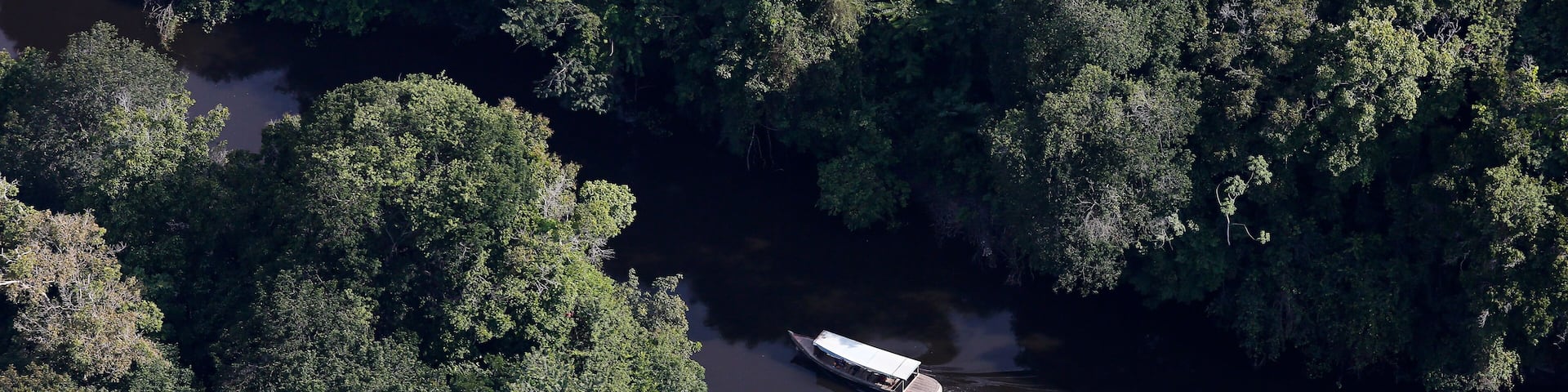 A boat on a river surrounded by dense forest.