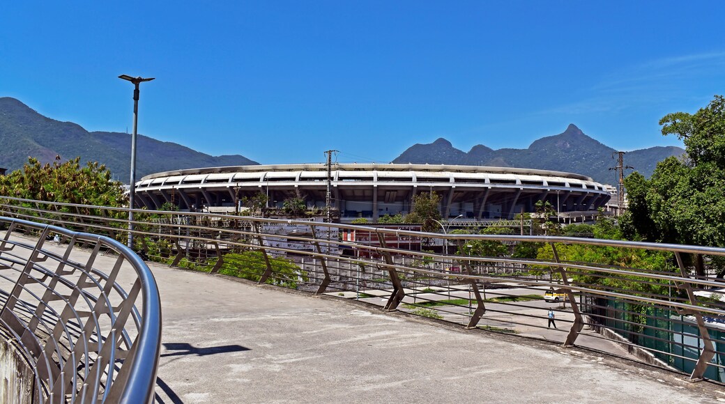 เอนเจนโญ่ โนโว