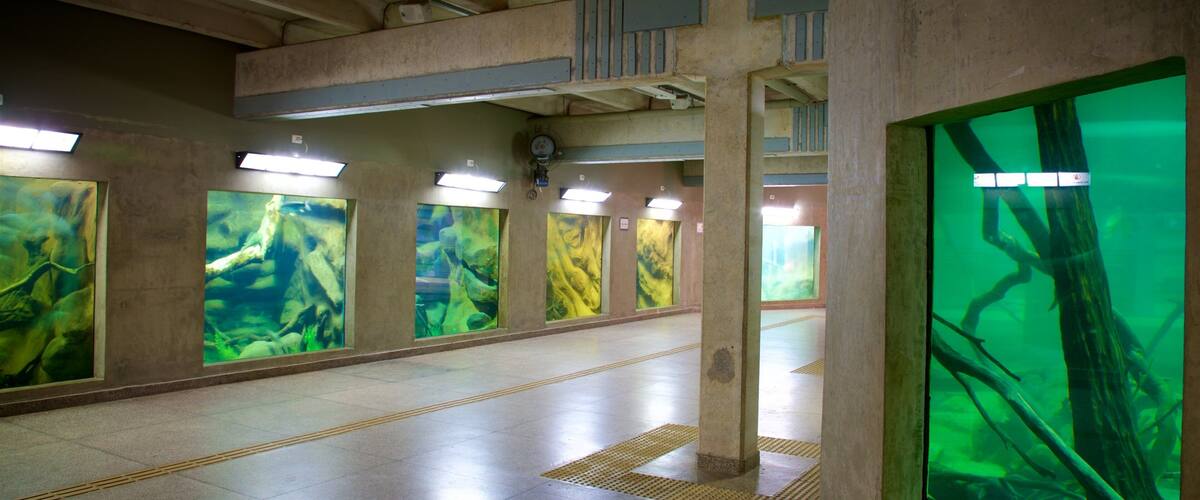 Aquarium of the City featuring interior views and marine life
