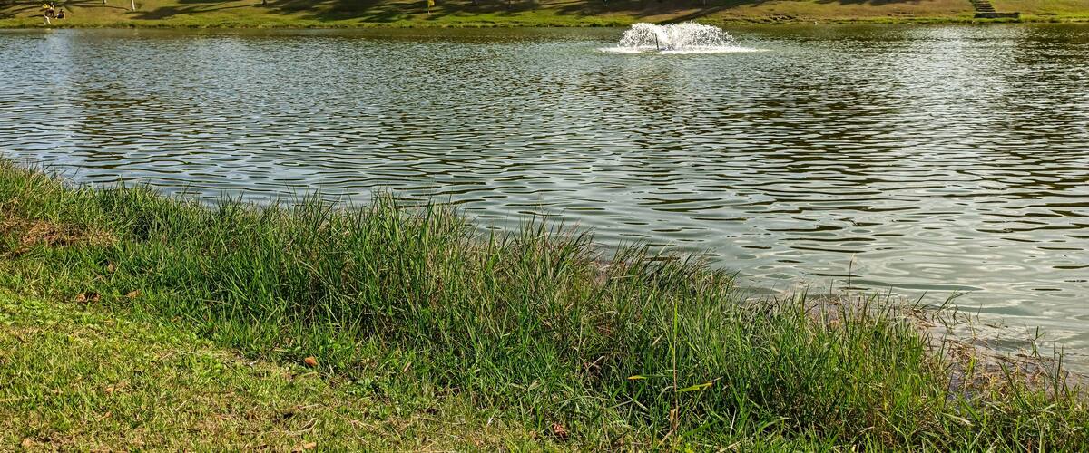 Sunny day by the lake in the public park of the city of Santo André - São Paulo - Brazil