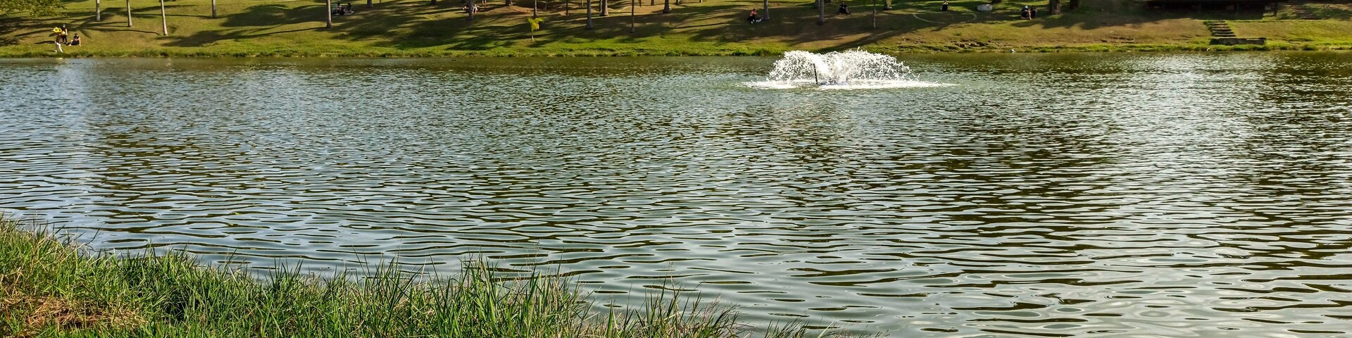 Sunny day by the lake in the public park of the city of Santo André - São Paulo - Brazil