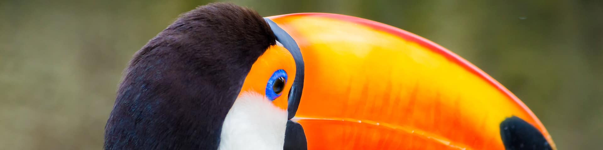 Tiago Pereira Farias