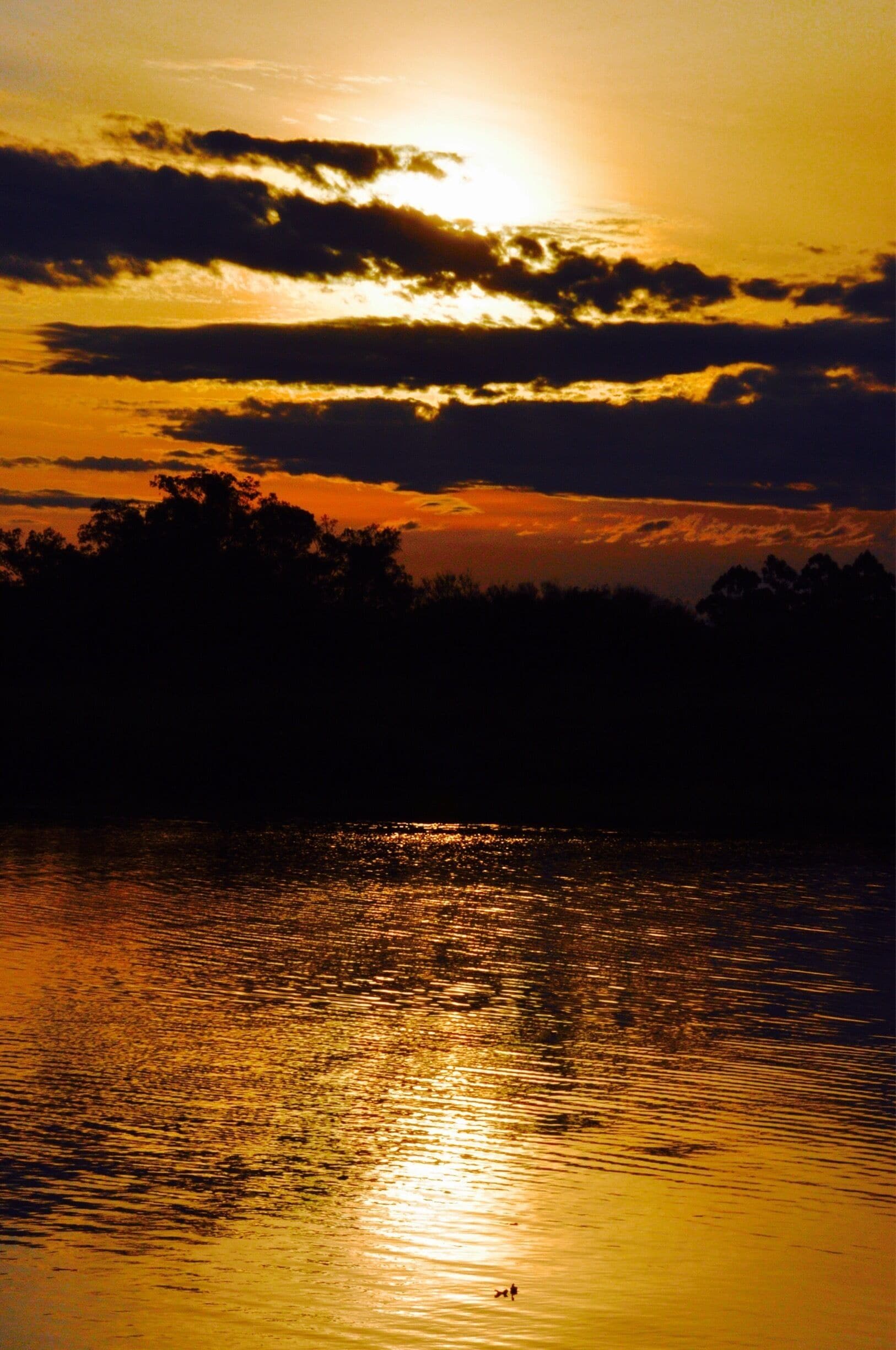 #waterlust #GoldenHour

See more in www.flickr.com/ddfcarvalho