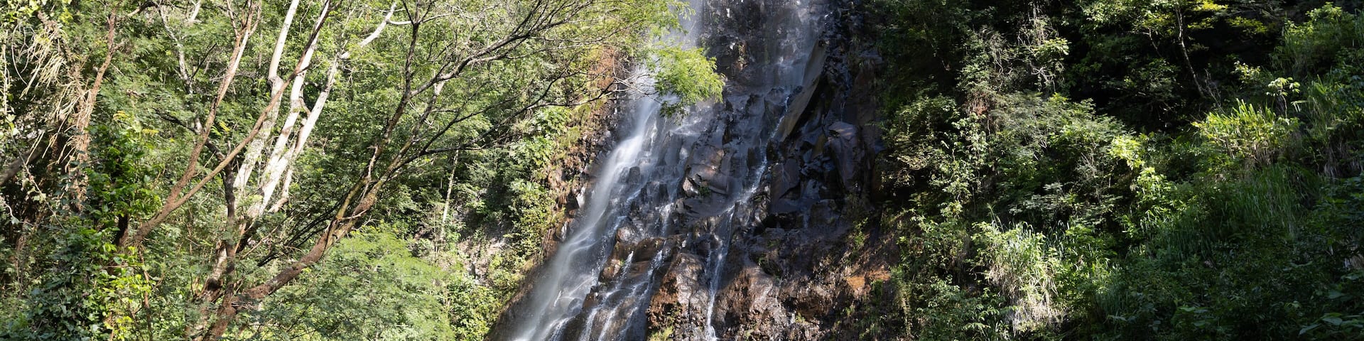 This stunning photo captures the natural beauty of the Pavuna waterfall in Botucatu, Brazil, nestled in the heart of a lush green forest. The image shows the crystal-clear waters cascading down the r