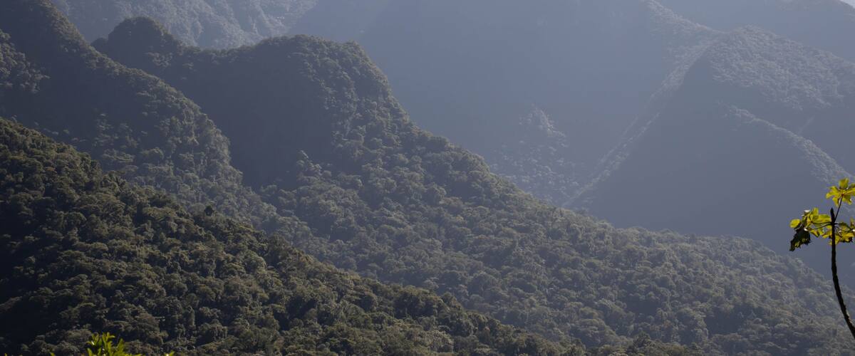 Visão aérea da serra curitibana com visão das montanhas e da flora no Paraná Brasil.