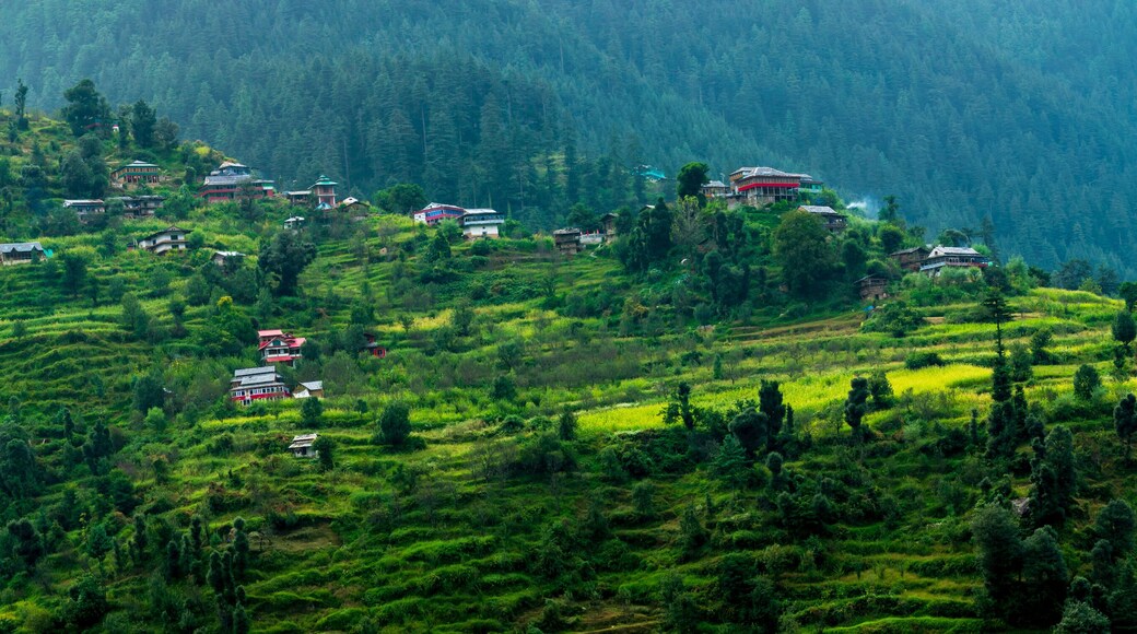 A roadside view from the road to Shimla, Himachal Pradesh, India