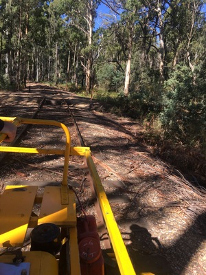 A railway track in a forested area with yellow safety barriers.