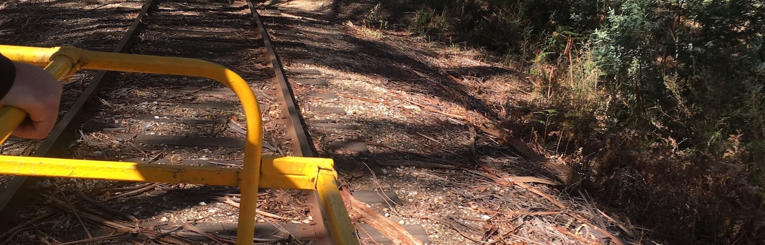 Running through the forest on a rail trolley