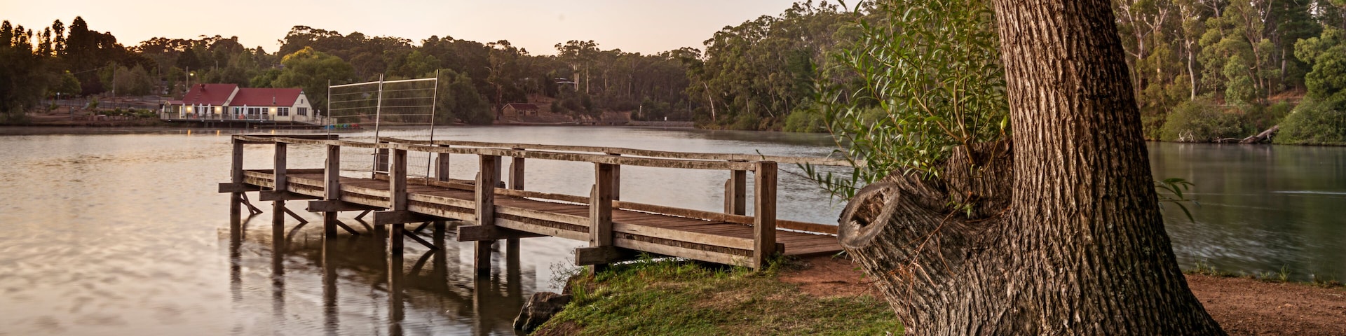 A wooden dock extending into a calm lake, surrounded by lush greenery and a large tree trunk.