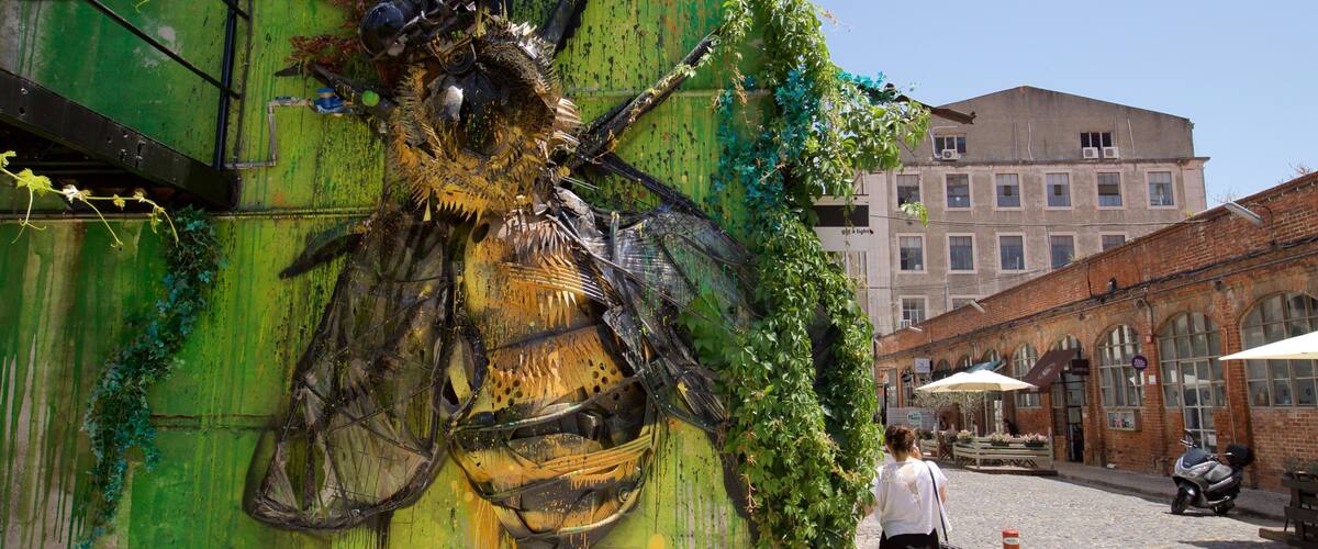 Lisbon District showing outdoor art