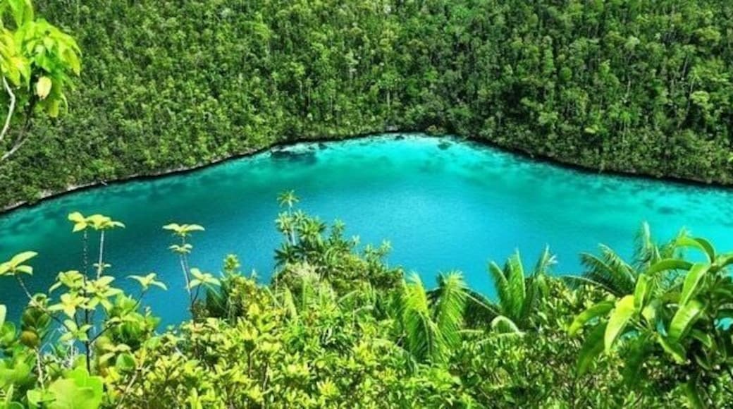 The Green Lagoon Wayag @Raja Ampat