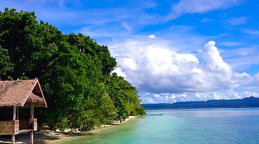 Enjoying the afternoon here at Raja Ampat Island 😍