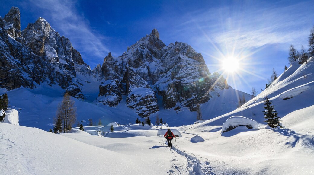 Pale di San Martino