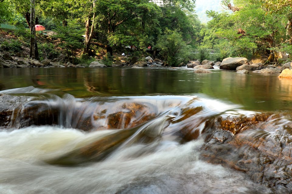 A river flowing over rocks with a forested area in the background.