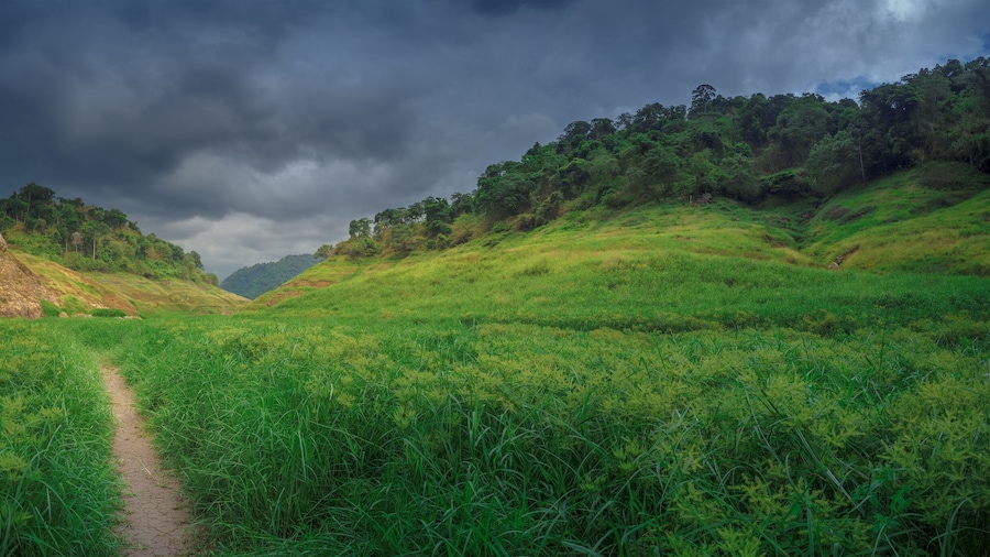 Ton Nam Green Mountain with meadow and river at Khun Dan Prakarn Chon Dam Nakhon Nayok Thailand.
