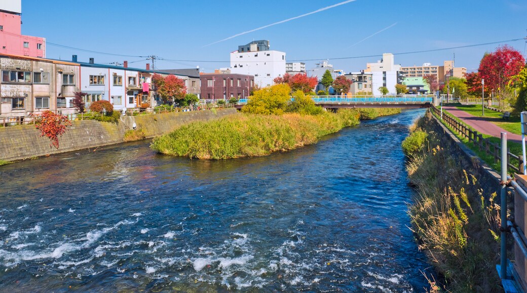 ชิโตเสะ