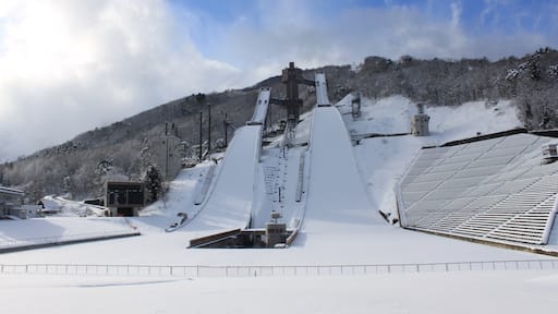 çœéŠŹăžăŁăłăć°