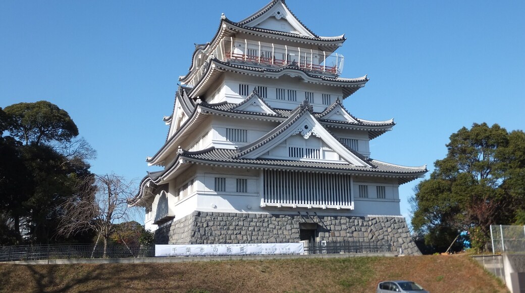 ćèćžç«é·ććç©é€š