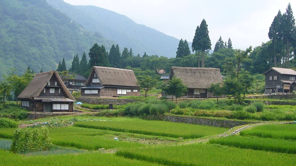 A rural village with traditional houses and terraced rice fields.