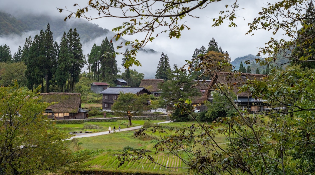 Ainokura which includes a park