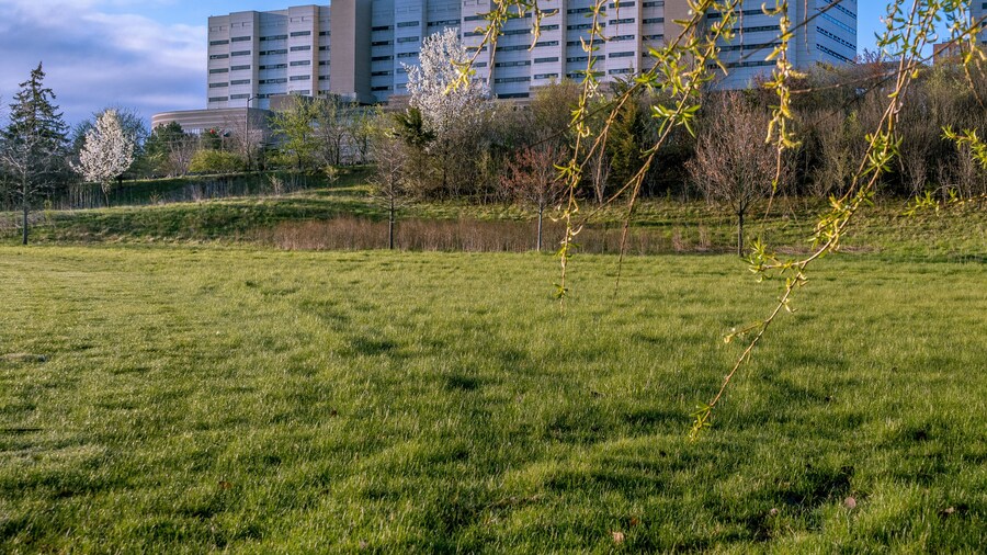 HĂŽpital universitaire du Michigan