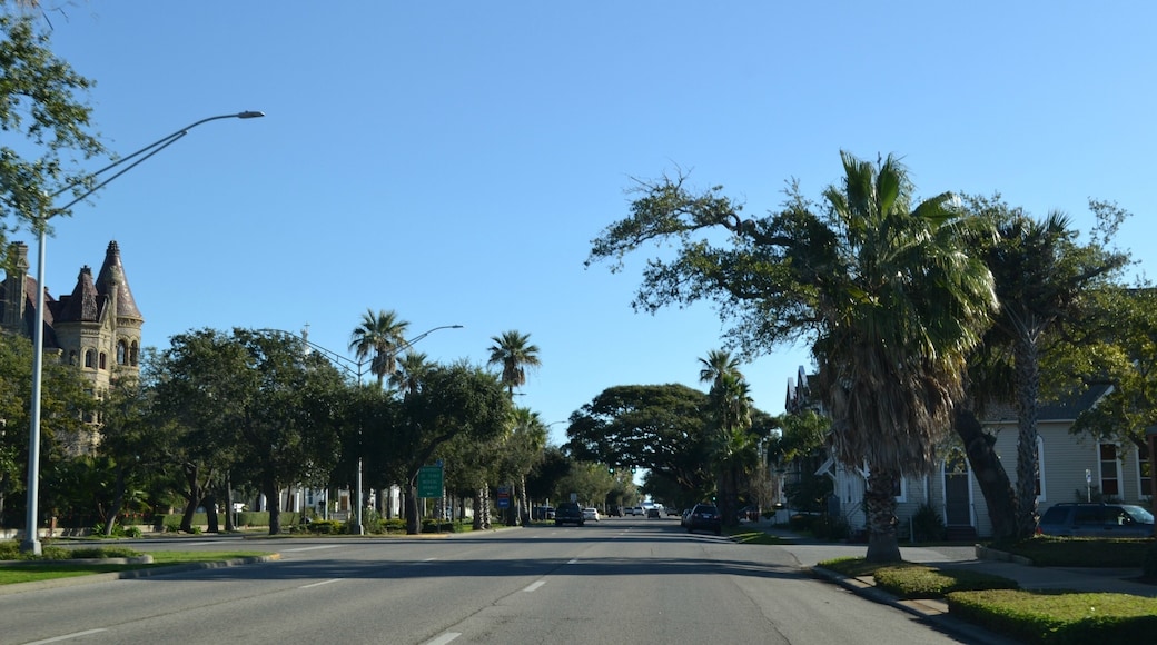 Diga Marina Galveston Seawall