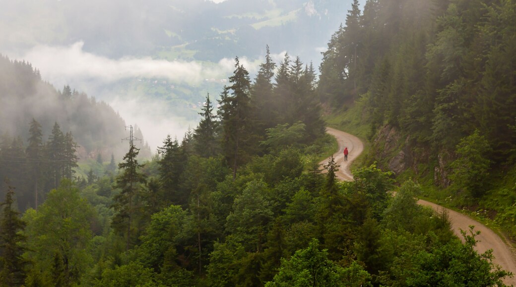 Giresun plateau and houses. Summer season, Kumbet Plateau( Turkish; Kümbet Yaylasi ) houses. Turkey travel. Dereli, Giresun, Turkey