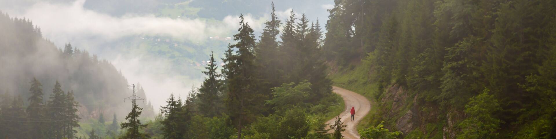 A winding mountain road surrounded by dense forest and misty mountains.