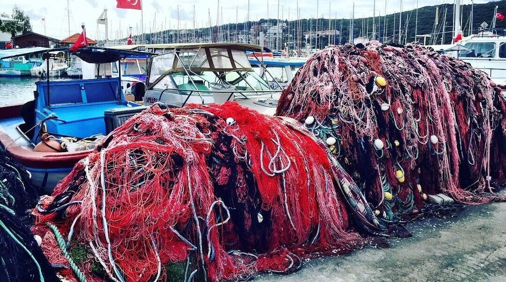 Colorfull Fishermans