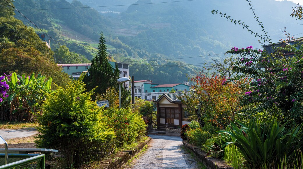 Renai_LushanHotSpring_553248635389804432_16