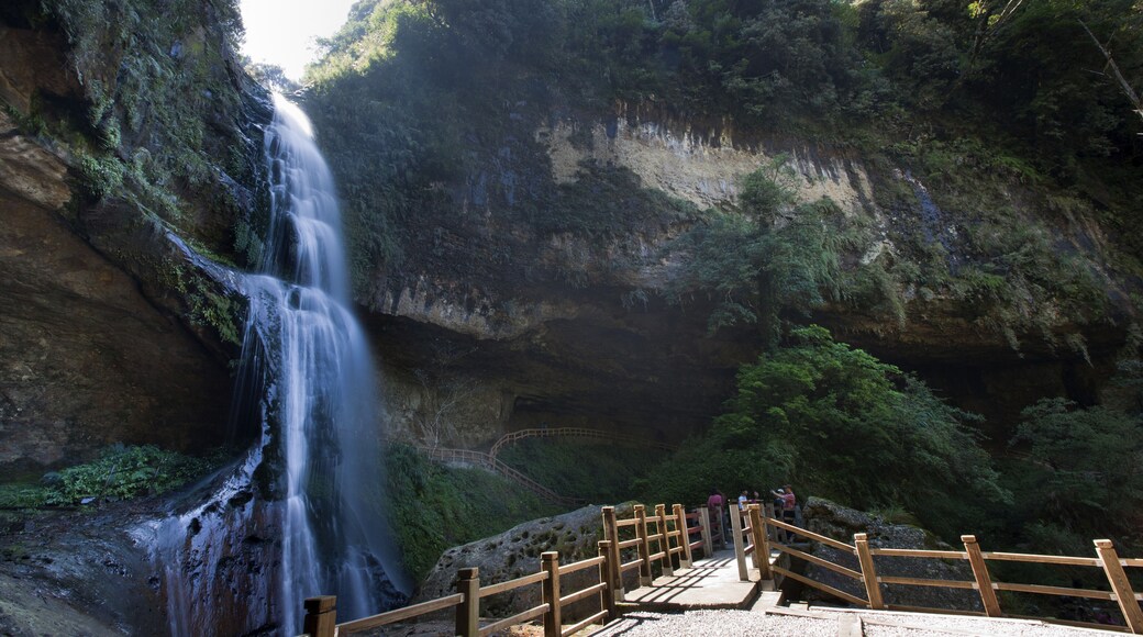 Zone rĂ©crĂ©ative de la forĂȘt de Shanlin Xi